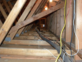 Dallas Insulation Removal Bags